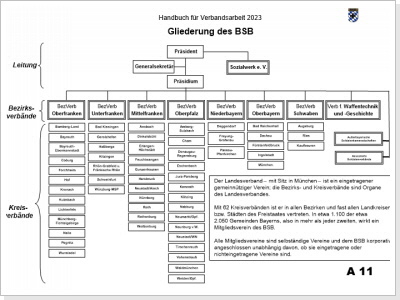 Die Grundgliederung des BSB